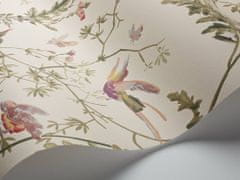 Cole & Son Tapeta Hummingbirds 14071, kolekcia ARCHIVE ANTHOLOGY