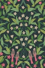 Cole & Son Tapeta JASMINE & SERIN SYMPHONY 28 z kolekcie SEVILLE