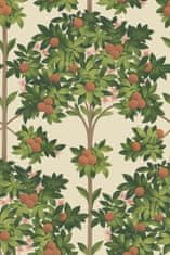 Cole & Son Tapeta ORANGE BLOSSOM 01 z kolekcie SEVILLE