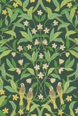 Cole & Son Tapeta JASMINE & SERIN SYMPHONY 29 z kolekcie SEVILLE