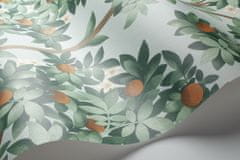 Cole & Son Tapeta ORANGE BLOSSOM 04 z kolekcie SEVILLE