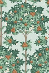 Cole & Son Tapeta ORANGE BLOSSOM 04 z kolekcie SEVILLE