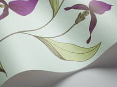 Cole & Son Tapeta ORCHID 4027, kolekcia NEW CONTEMPORARY