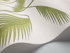 Cole & Son Tapeta PALM 1009, kolekcia CONTEMPORARY restyled