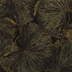 ZOFFANY Tapeta Taishi DECO VINE BLACK 312750, kolekcia MUSE