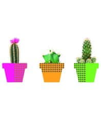 Crearreda WI S Cactus 69001 Kaktusy