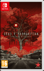 Nintendo Deadly Premonition 2: A Blessing in Disguise igra (Switch)