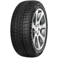 Minerva 205/55R17 95V MINERVA FROSTRACK UHP