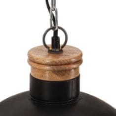 Petromila vidaXL Industriálna závesná lampa 32 cm, čierna E27