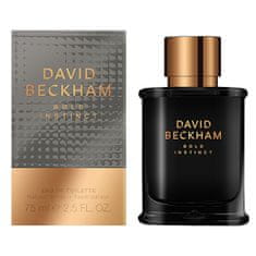 David Beckham Bold Instinct - EDT 50 ml