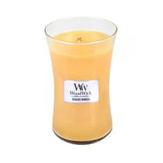 Woodwick Vonná sviečka váza Seaside Mimosa 609,5 g