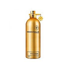 Montale Paris Aoud Ambre - EDP 100 ml