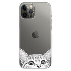 iSaprio Silikónové puzdro - Cat 02 pre Apple iPhone 12 Pro