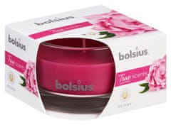 Bolsius Sviecka bolsius Jar True Scents 50/80 mm, pivónia