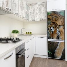 Wallmuralia.sk Foto nálepka na chladničku Tiger na strome 60x180 cm