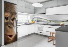 Wallmuralia.sk Nálepka fototapeta chladnička Mladý orangutan 60x180 cm
