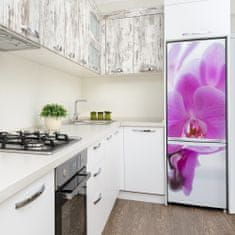 Wallmuralia.sk Foto tapeta na chladničku Ružová orchidea 60x180 cm