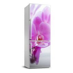 Wallmuralia.sk Foto tapeta na chladničku Ružová orchidea 60x180 cm