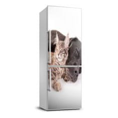 Wallmuralia.sk Foto nálepka na chladničku stenu Pes a mačka 60x180 cm