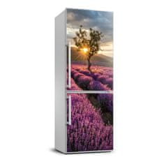 Wallmuralia.sk Nálepka fototapety na chladničku Pole levanduľe 60x180 cm