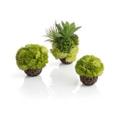 Oase biOrb coral ball set green