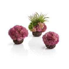 Oase biOrb coral ball set purple