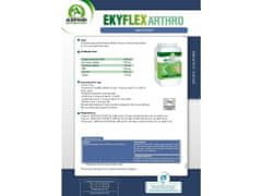 Audevard EKYFLEX ARTHRO EVO 900g