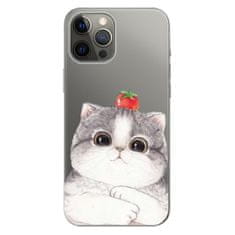 iSaprio Silikónové puzdro - Cat 03 pre Apple iPhone 12 Pro Max