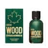 Dsquared² Green Wood - EDT 100 ml