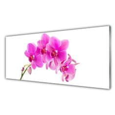 tulup.sk Skleneny obraz Vstavač kvet orchidea 125x50 cm 4 Prívesky