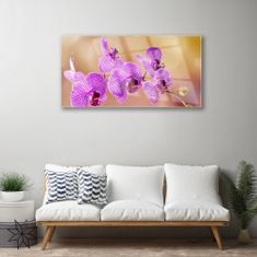 tulup.sk Skleneny obraz Orchidea výhonky kvety príroda 100x50 cm 4 Prívesky