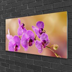 tulup.sk Skleneny obraz Orchidea výhonky kvety príroda 100x50 cm 4 Prívesky