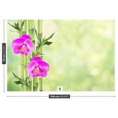 tulup.sk Fototapeta Orchidea a bambus Samolepiaca fototapeta 312x219 cm