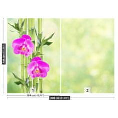 tulup.sk Fototapeta Orchidea a bambus Samolepiaca fototapeta 312x219 cm