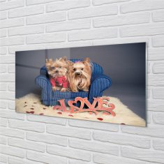 tulup.sk Nástenný panel  yorkie 125x50 cm