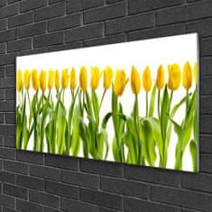 tulup.sk Skleneny obraz Tulipány kvety príroda 100x50 cm 4 Prívesky