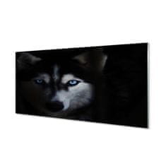 tulup.sk Nástenný panel  wolf Eyes 100x50 cm