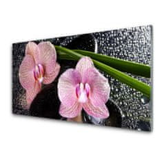 tulup.sk Skleneny obraz Kvety orchidea kamene zen 140x70 cm 2 Prívesky