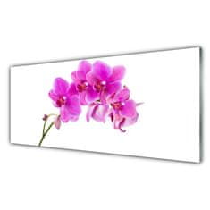 tulup.sk Skleneny obraz Vstavač kvet orchidea 125x50 cm 4 Prívesky