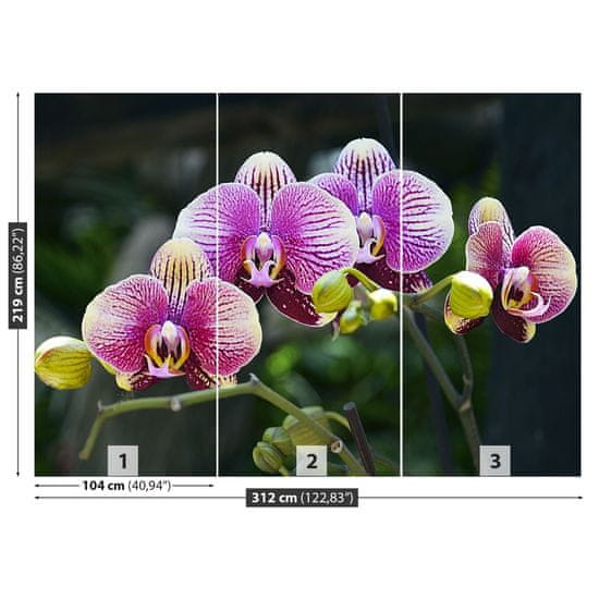 tulup.sk Fototapeta Fialová orchidea Vliesová fototapeta