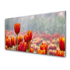 tulup.sk Skleneny obraz Tulipány kvety rastlina 100x50 cm 4 Prívesky