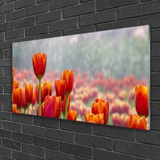 tulup.sk Skleneny obraz Tulipány kvety rastlina 100x50 cm 4 Prívesky