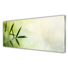 tulup.sk Nástenný panel  Listy dážď 125x50 cm