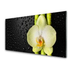 tulup.sk Skleneny obraz Bambus kvet orchidea 100x50 cm 2 Prívesky