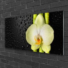 tulup.sk Skleneny obraz Bambus kvet orchidea 100x50 cm 2 Prívesky