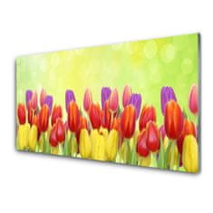 tulup.sk Skleneny obraz Tulipány kvety rastlina 100x50 cm 2 Prívesky