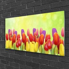 tulup.sk Skleneny obraz Tulipány kvety rastlina 100x50 cm 2 Prívesky