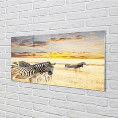 tulup.sk Nástenný panel  Zebry poľa sunset 100x50 cm