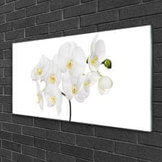 tulup.sk Skleneny obraz Biela orchidea kvety 100x50 cm 4 Prívesky