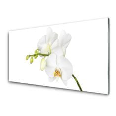 tulup.sk Obraz plexi Orchidea kvety príroda 100x50 cm 2 Prívesky